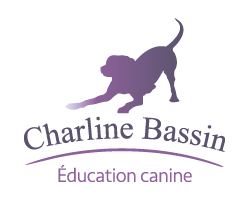 Charline Bassin - Education Canine